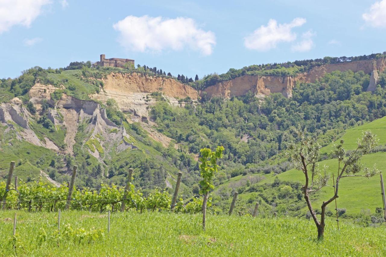 Agriturismo Podere Marcampo Volterra Bagian luar foto