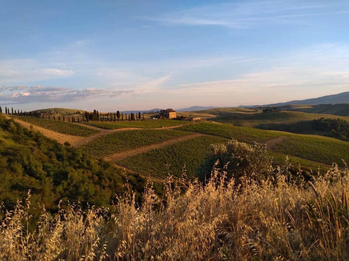 Agriturismo Podere Marcampo Volterra Bagian luar foto